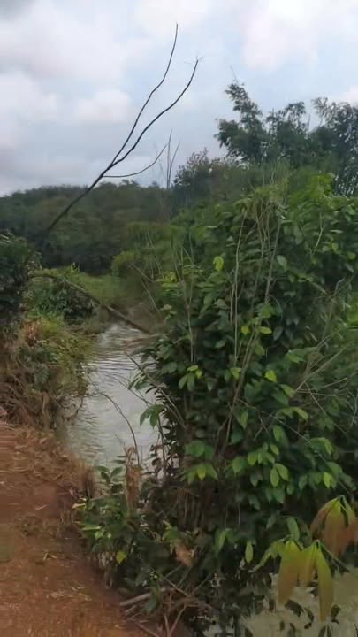 Đất farm Phú Trung 1ha giá chỉ 1.15 tỷ - Cơ hội đầu tư tuyệt vời!