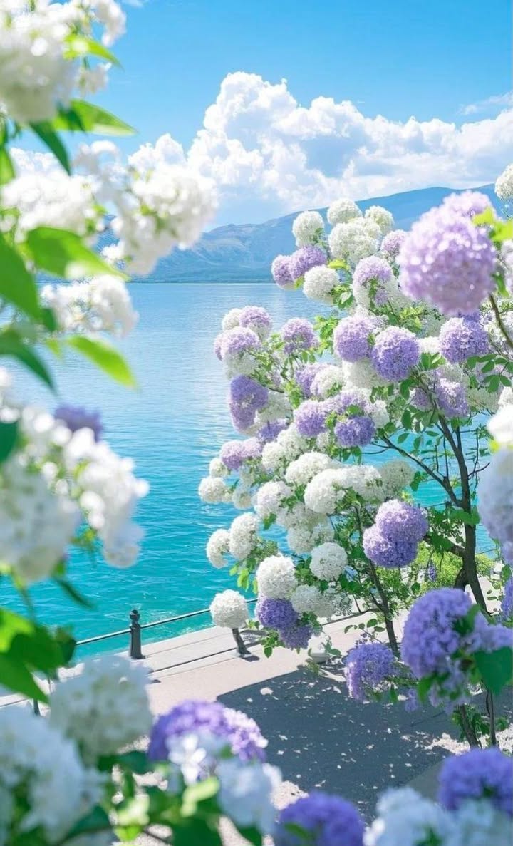 Nhà cho thuê đường Ngô Thì Sỹ, Đà Lạt 4PN giá 5.5 triệu/tháng - Cơ hội hiếm có!