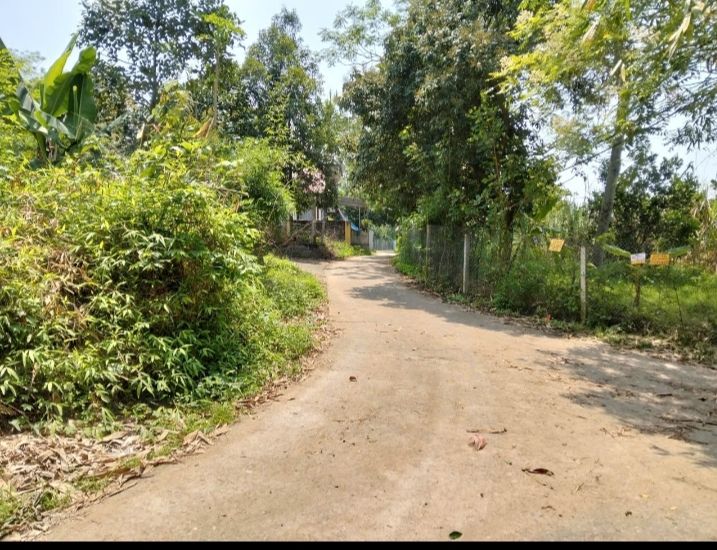 Đất thổ cư Chân Sơn 480m² giá 1.8 tỷ - Tiềm năng sinh lời cao!