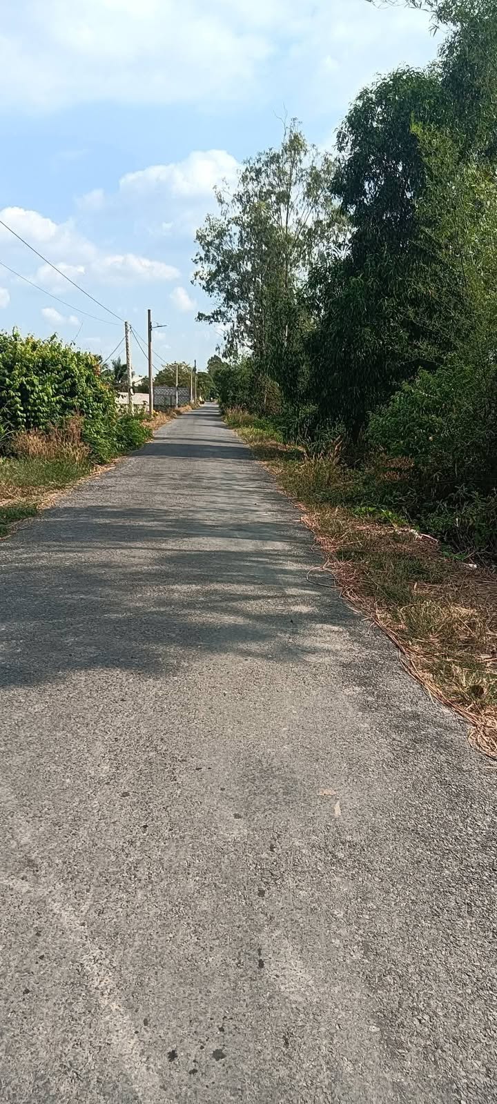 Đất mặt tiền xã Tân Lý Đông 20,000m² giá 2.25 tỷ - Cơ hội đầu tư tuyệt vời!