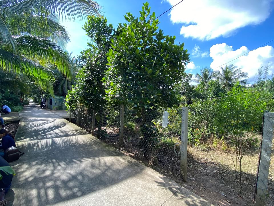 Đất vườn trái cây 622m² Long Hưng - Giá 1.05 tỷ - View kênh thoáng mát!