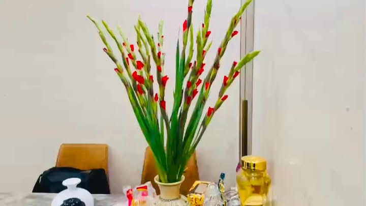 Căn hộ 2 phòng ngủ Royal City 88m² giá 11.5 tỷ - Tổ ấm lý tưởng giữa lòng Hà Nội!