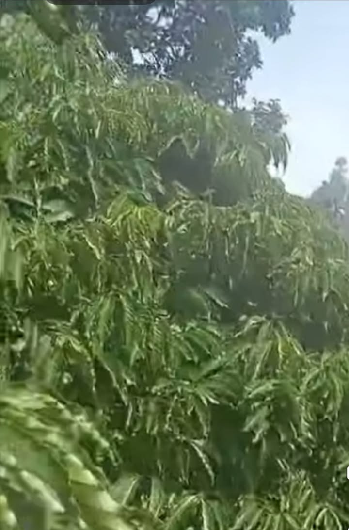 Farm 2.4ha tại xã Ea Sin, Krông Búk giá 3.6 tỷ - Đầu tư sinh lời cao!