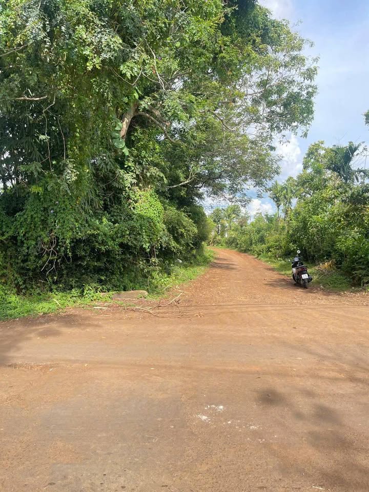 Đất nền Cư Bao, Buôn Hồ, Đắk Lắk - 150m² chỉ 339 triệu - Đầu tư sinh lời ngay!