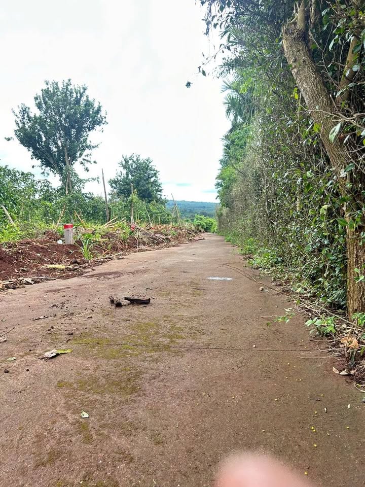 Đất nền Cư Bao Buôn Hồ 150m² giá 365 triệu - Cơ hội đầu tư hấp dẫn!