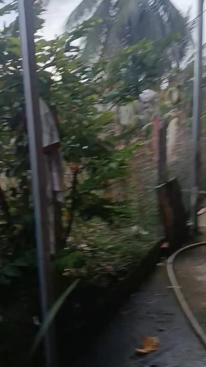 Đất nền Tân Hiệp 1960m² giá 1.6 tỷ - Mặt tiền đường nhựa ĐT785, kinh doanh thuận lợi!