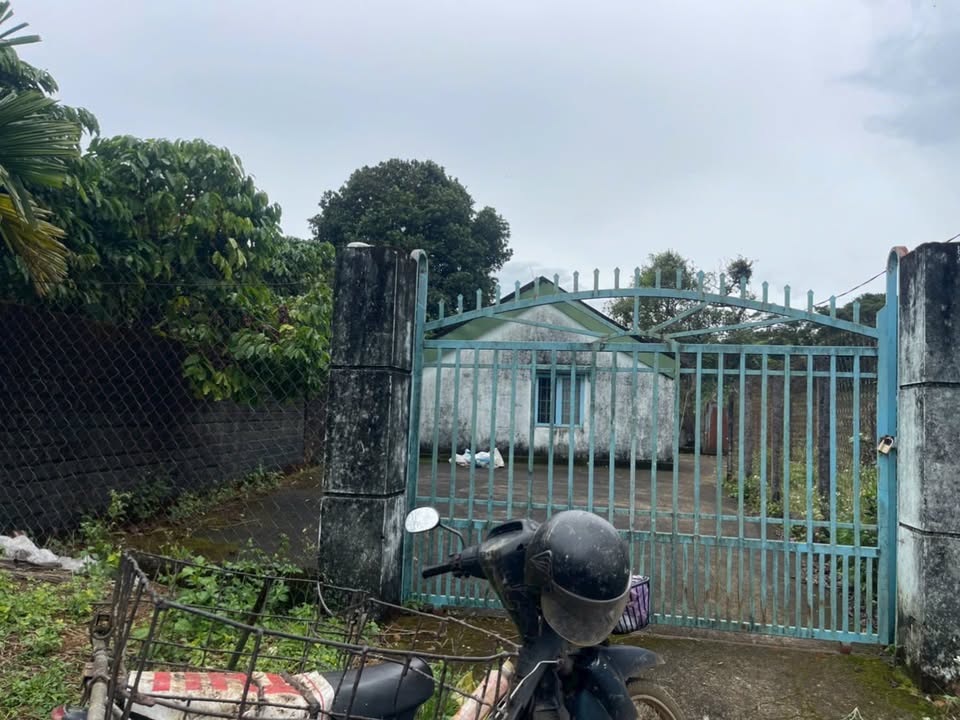 Đất nền Tôn Thất Thuyết, Bảo Lộc 1.2ha - Tiềm năng đầu tư vượt trội