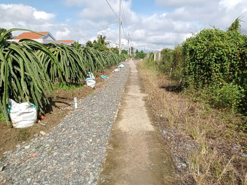 Đất nền 336m² tại Ấp Quang Ninh, xã Quơn Long, Chợ Gạo - Sổ đỏ chính chủ, giá 350 triệu!