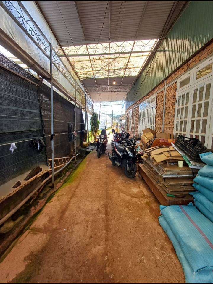 Đất nền Thái Phiên, Đà Lạt 200m² giá 680 triệu - Cơ hội đầu tư tuyệt vời!