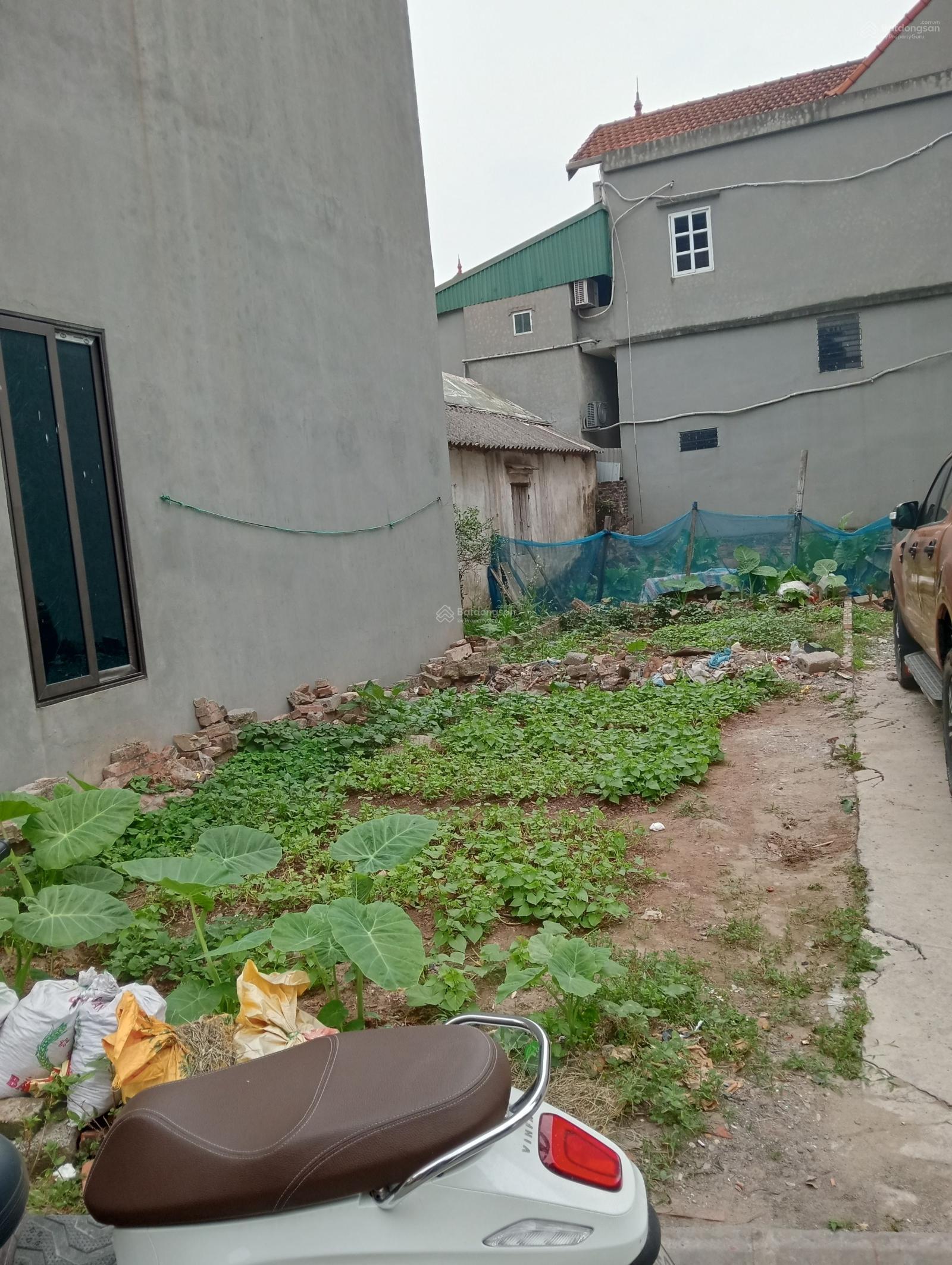 Đất nền 68m² Đường Thuận Tốn, Gia Lâm 6.5 tỷ - Vị trí vàng, tiện ích ngập tràn!