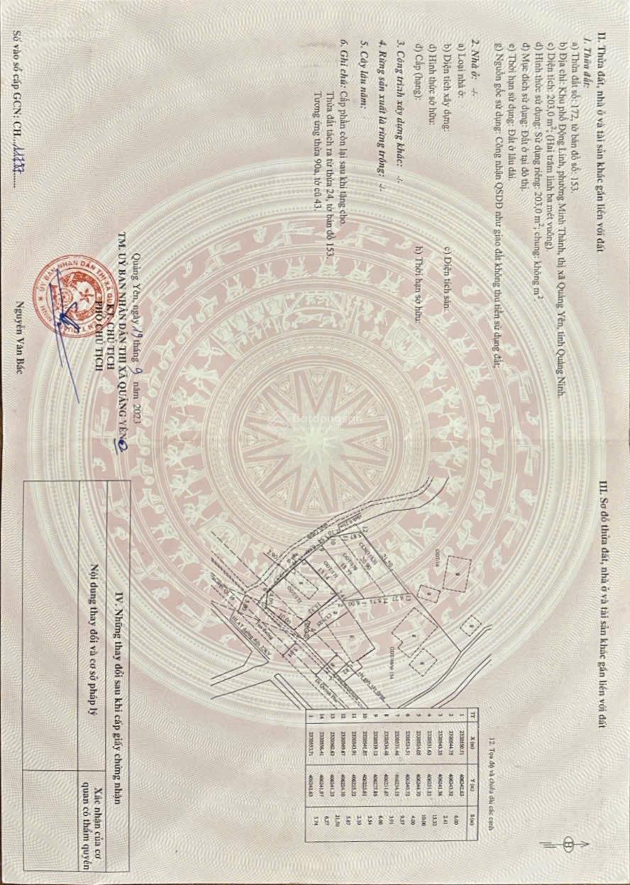 Bán đất đẹp tại Đường Vũ Tướng, Minh Thành, Quảng Yên, 203m² chỉ 2,4 tỷ - Đầu tư sinh lời!