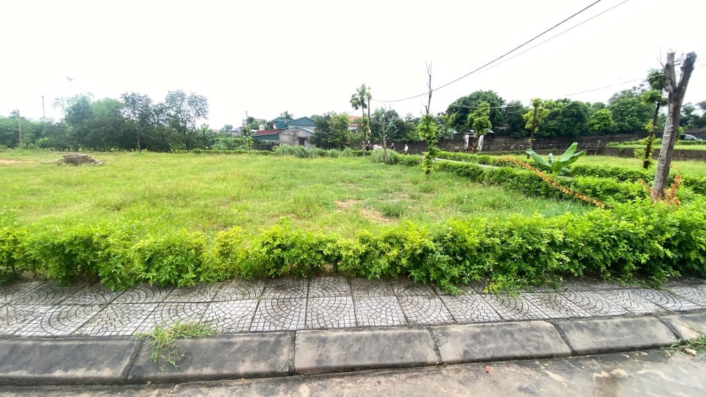 Đất ODT Full Thổ Cư tại Đông Triều 130m² - Chỉ 10 triệu/m², Sổ Hồng Chính Chủ!