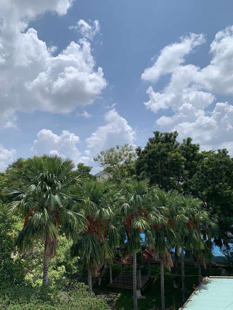 Nhà mặt tiền đường Chợ Lớn, Quận 6 - 76m² giá chỉ 12 tỷ - Nằm đối diện công viên thoáng mát!