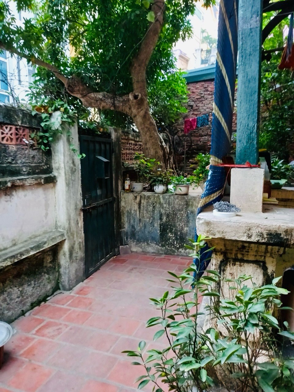 Đất mặt phố Yên Ninh, Ba Đình 225,3m² giá 125 tỷ - Cơ hội đầu tư hiếm có!