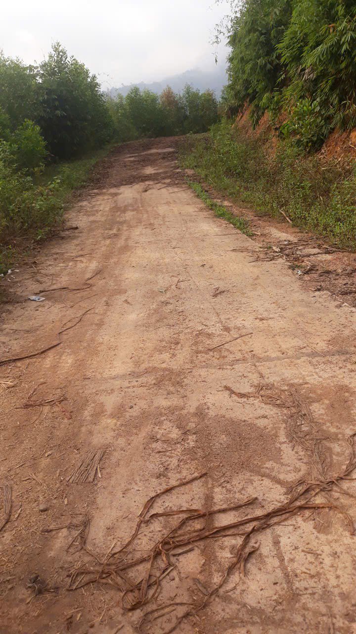 Đất nông nghiệp Nam Khánh Vĩnh 24.000m² giá chỉ 288 triệu - Đầu tư hiệu quả!