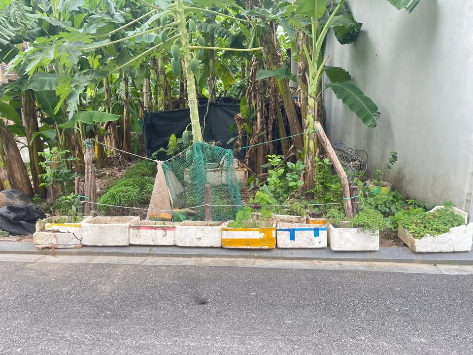 Đất nền Võng La Đông Anh 75m² giá 3 tỷ - Đường ô tô thông thoáng!