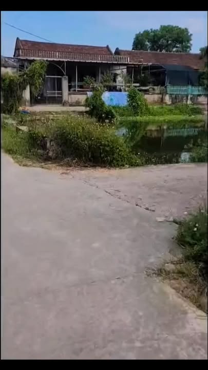 Đất nền Phú Phúc Lý Nhân 300m² giá 1 tỷ - Đầu tư sinh lời cao!