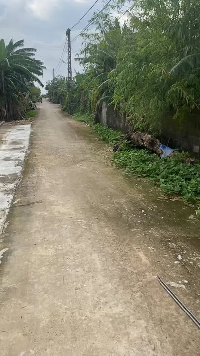 Đất nền Diễn Thái 160m² - Mặt tiền hai mặt vàng, cơ hội đầu tư tuyệt vời!