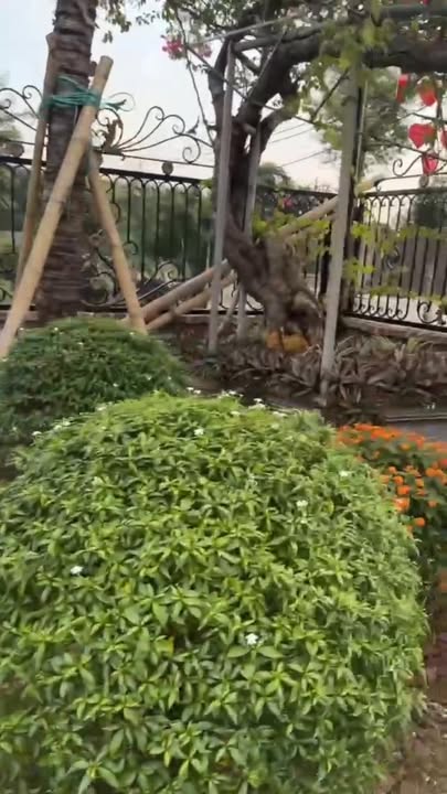 Đất nền Hồng Vân, Thường Tín 609m² - Nhà mới đẹp, giá thỏa thuận!