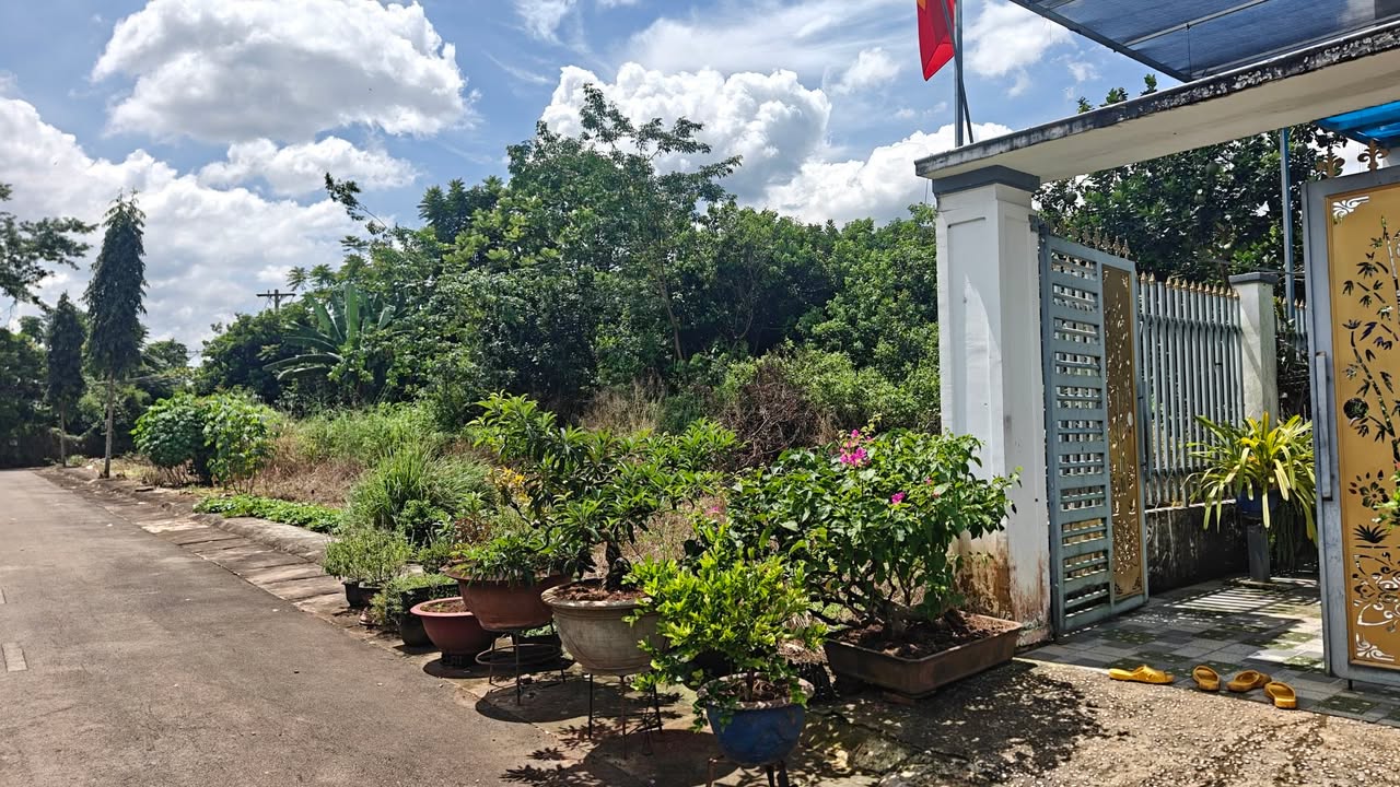 Đất ở Bình Lộc, Long Khánh 100m² giá 1 tỷ - Đầu tư sinh lời ngay!