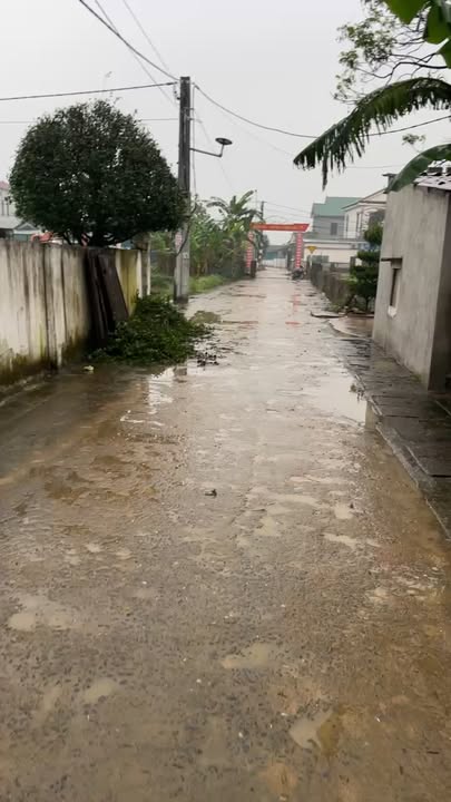 Đất nền Sào Nam, Xuân Hòa, Nam Đàn 202m² - Vị trí đẹp, đầu tư sinh lời!