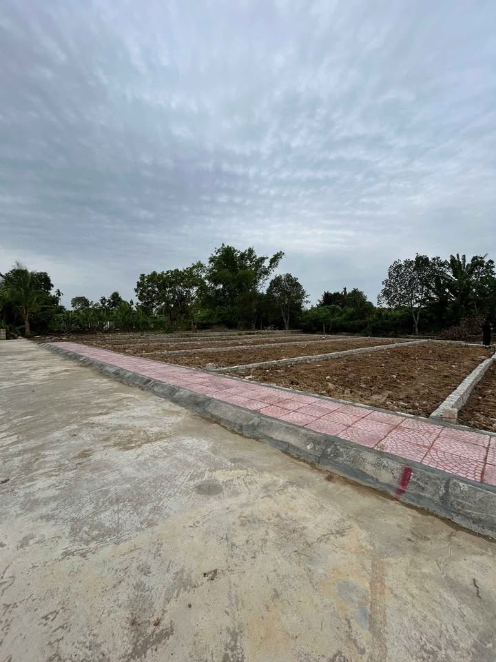 Đất nền Hợp Thắng, Triệu Sơn 132m² giá 400 triệu - Cơ hội đầu tư tuyệt vời!