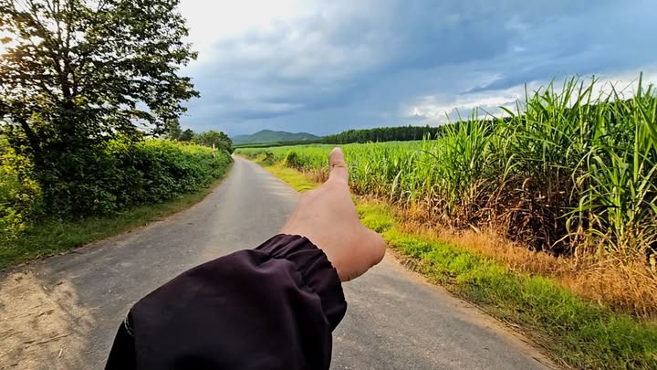 Đất vườn Diên Đồng 500m² giá chỉ 370 triệu - Mặt đường bê tông ô tô vào tận nơi!