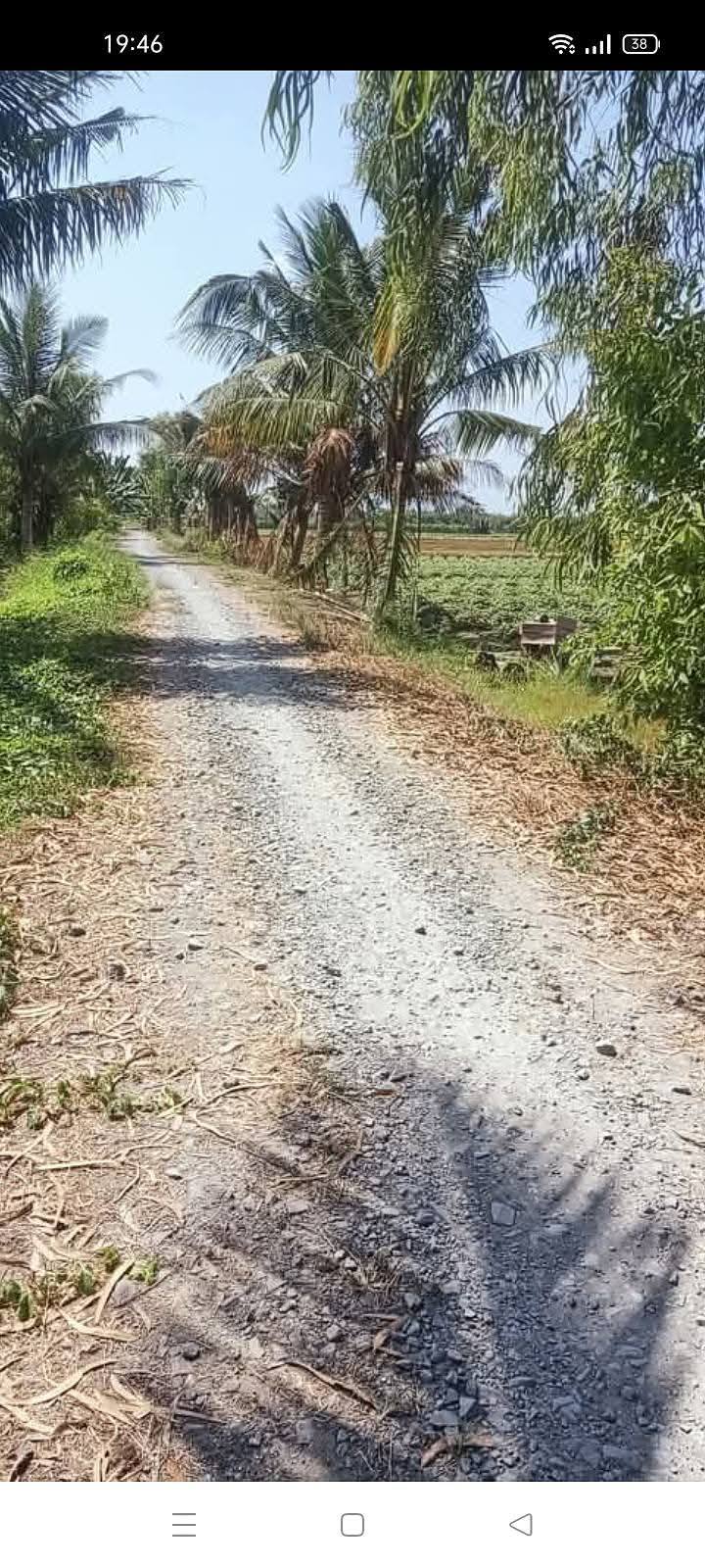 Đất nền Tân Phú Đông, Sa Đéc 80.000m² - Giá thỏa thuận hợp lý!