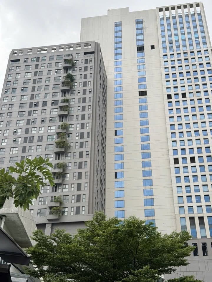 Nhà bán đường Nguyễn Văn Thương, Bình Thạnh 100m² giá 18.9 tỷ - View công viên thoáng đãng!