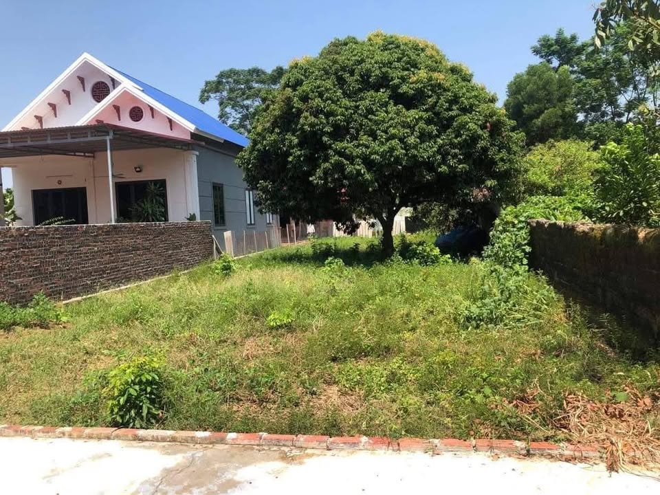 Đất thổ cư Thôn Tam Sơn, Hiệp Hòa 309.9m² - Sổ đỏ chính chủ, giá thỏa thuận!