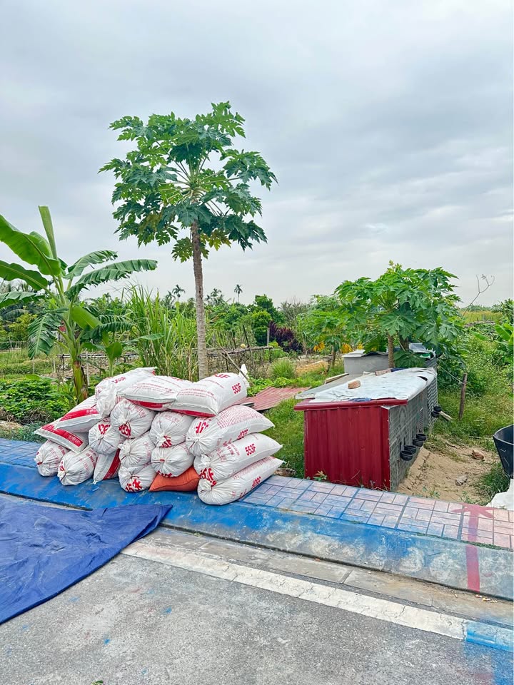 Đất nền thôn Quế Lâm, Kiến Thụy 136m² giá 2 tỷ - Vị trí đắc địa, đầy đủ tiện ích!