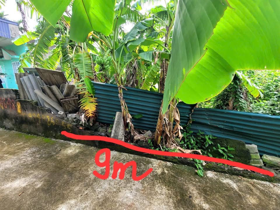 Đất nền Tiên Cường - Tiên Lãng 312m² giá tốt - Sổ đỏ chính chủ