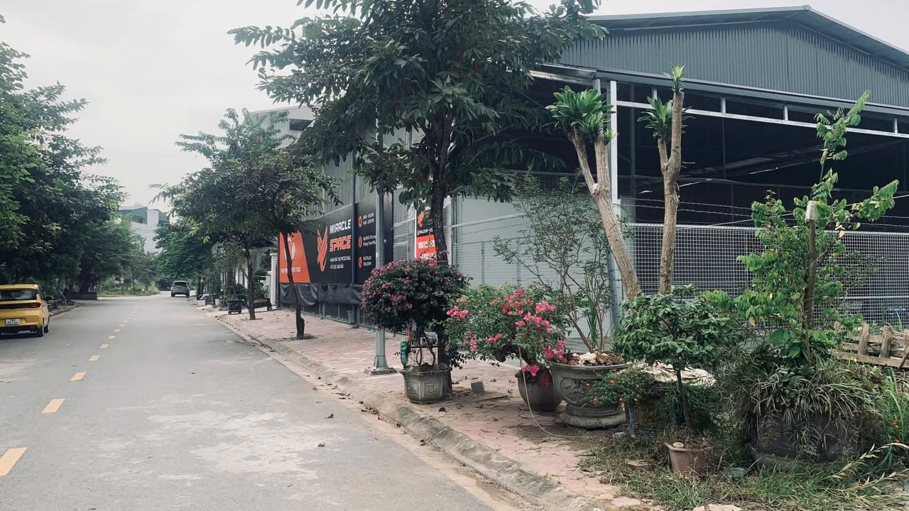 Lô đất biệt thự đẹp 243m² tại ngõ 88 Vũ Thế Lang, Việt Trì - Giá chỉ 9.1 tỷ!