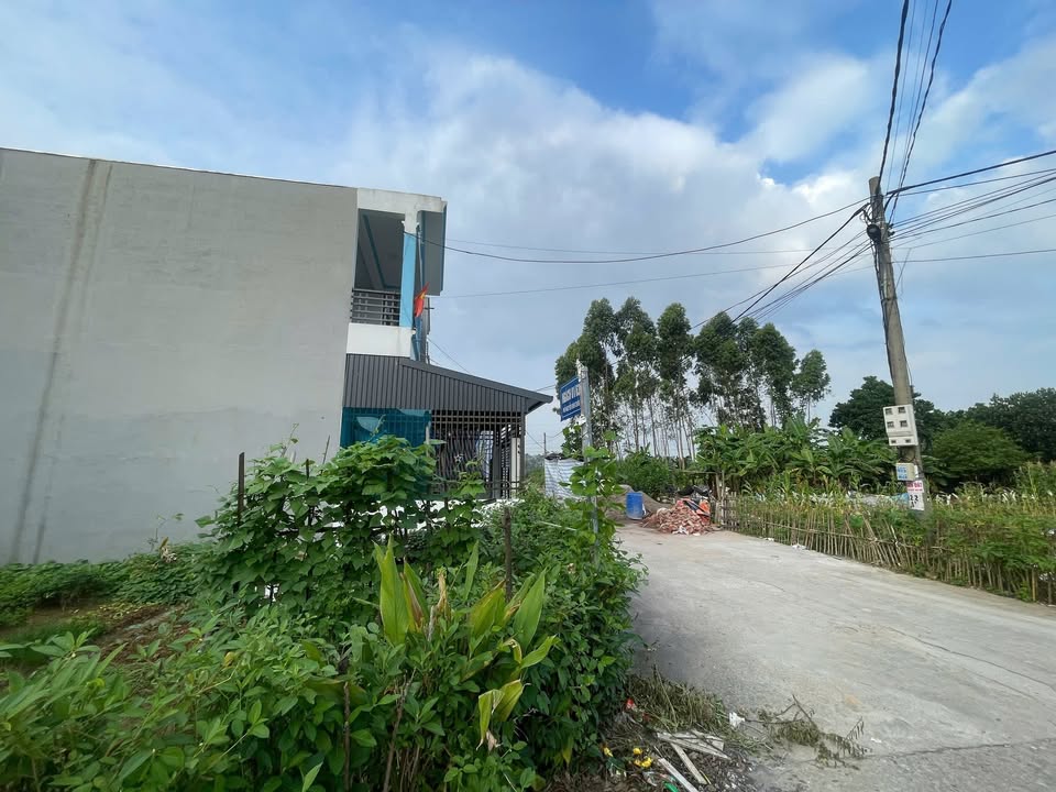 Đất nền Hùng Sơn Lâm Thao 100m² giá 1.2 tỷ - Cơ hội đầu tư tuyệt vời!