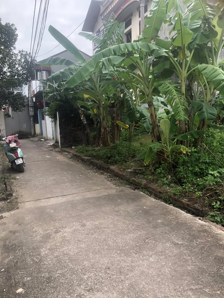 Đất nền Gia Đông, Thuận Thành 75m² giá 2.1 tỷ - Đầu tư sinh lời ngay!