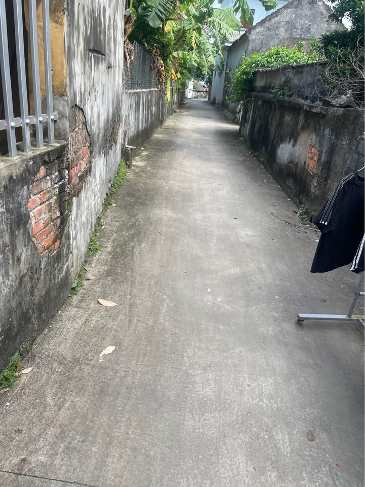 Đất thổ cư Trịnh Xá, Phủ Lý 95m² chỉ 1.3 tỷ - Cơ hội đầu tư hấp dẫn!