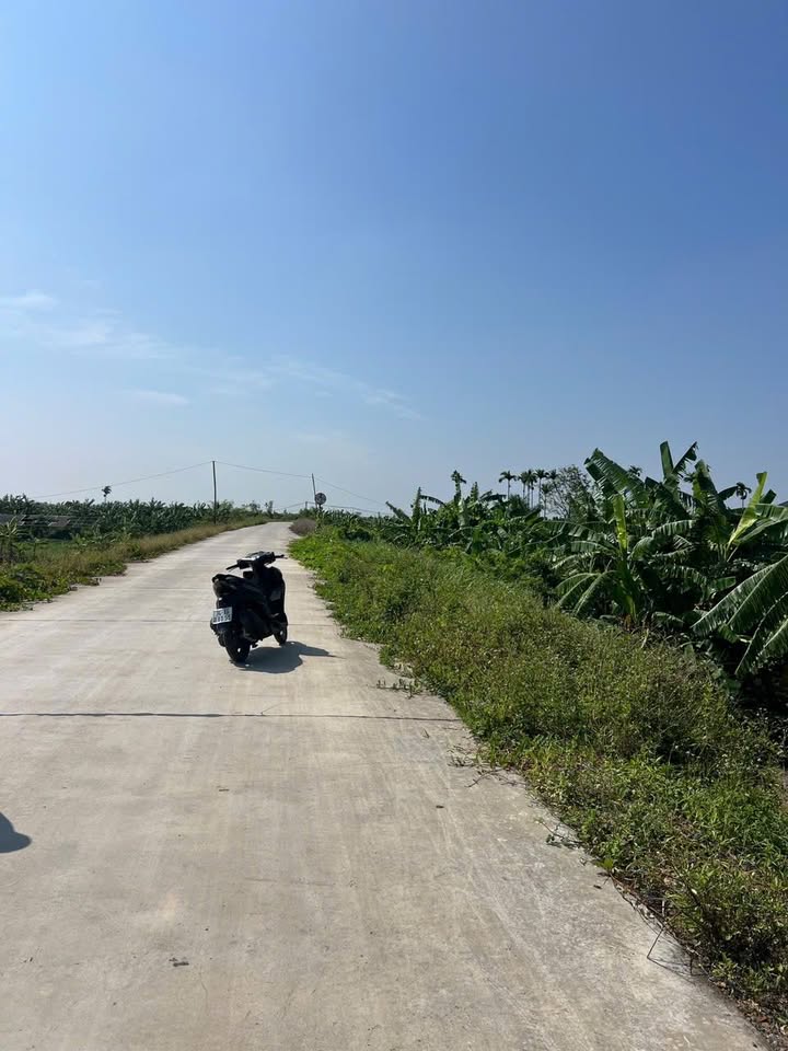 Đất thổ cư mặt đê Thanh Xuân 2000m² giá 4 tỷ - Cơ hội đầu tư hấp dẫn!