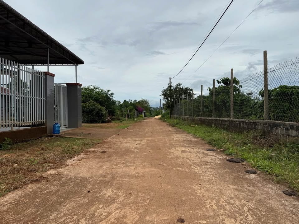 Đất thổ cư Biển Hồ 165m² giá 300 triệu - Đường bê tông thông thoáng!