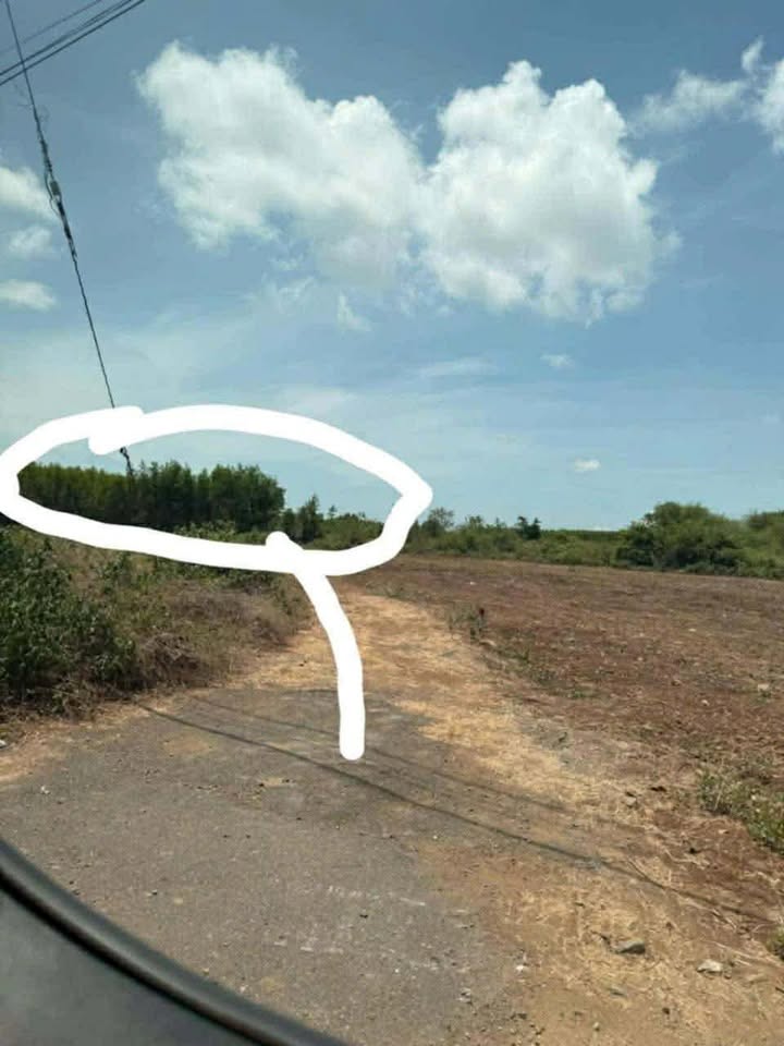 Đất nền Phước Long Thọ 3870m² giá 1.85 tỷ - Cơ hội đầu tư tuyệt vời!