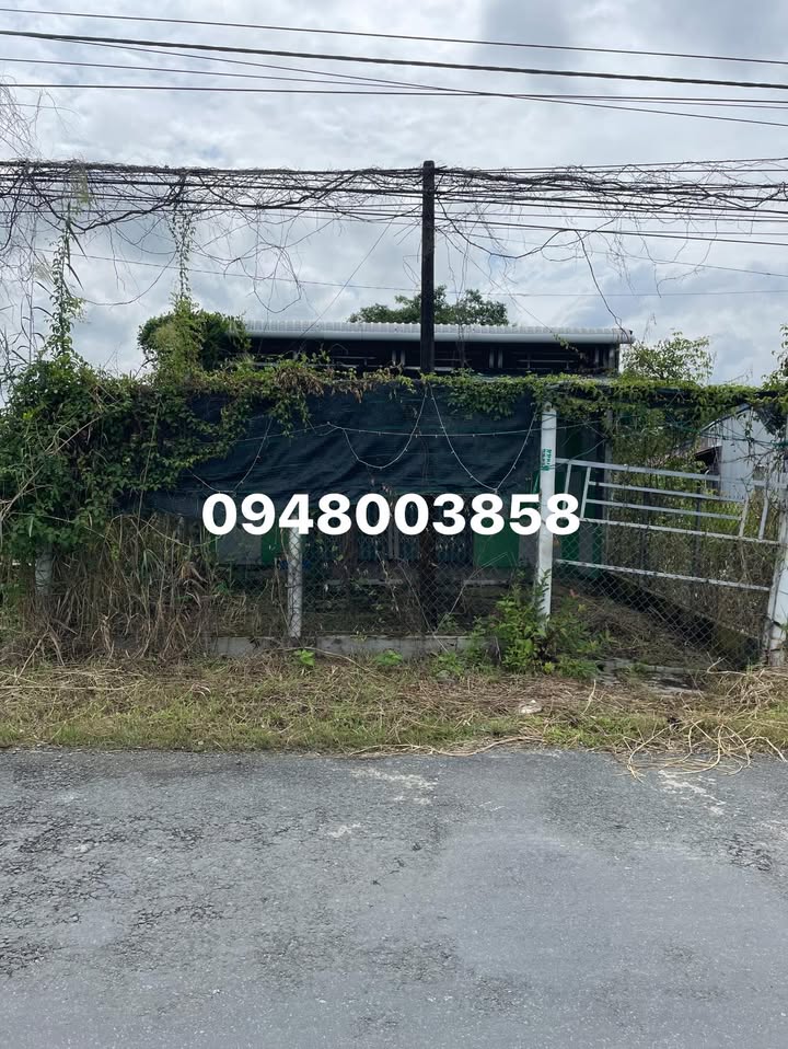 Đất nền có nhà sẵn tại Đông Hòa, An Minh 240m² chỉ 600 triệu - Cơ hội đầu tư hấp dẫn!