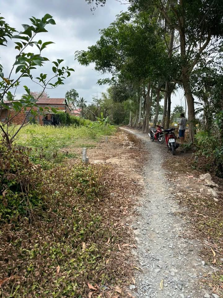 Đất nền Phú Tức - Mỹ Tú, Sóc Trăng 114m² giá chỉ từ 200 triệu - Cơ hội đầu tư hấp dẫn!