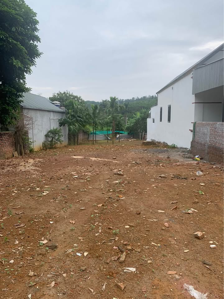 Đất thổ cư 439m² tại Yên Bài, Ba Vì - Mặt tiền 10m, giá thương lượng hấp dẫn!