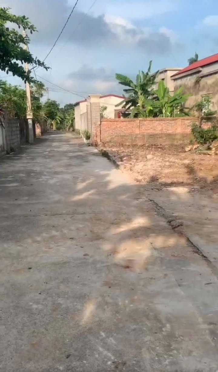 Đất thổ cư Thụy Ninh, Thái Thụy 77m² giá chỉ 500 triệu - Ô tô vào tận đất!