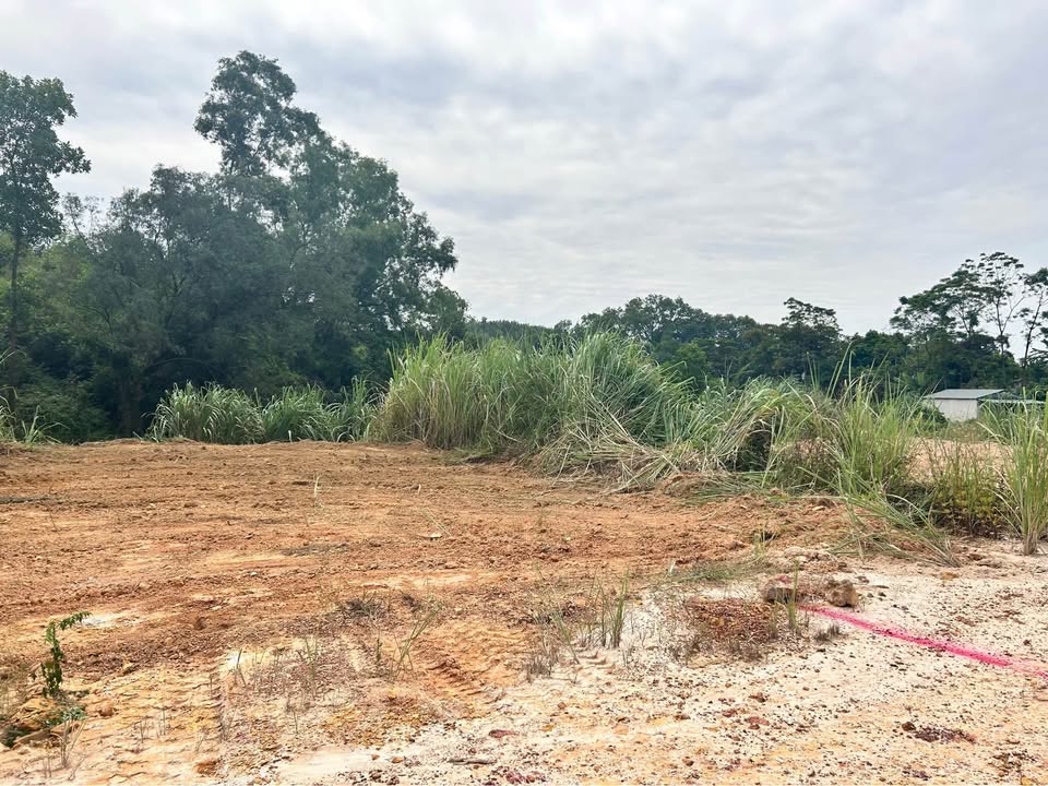 Đất lô góc Tân Lập 100m² giá 3.5 tỷ - Vị trí đắc địa, tiềm năng sinh lời cao!