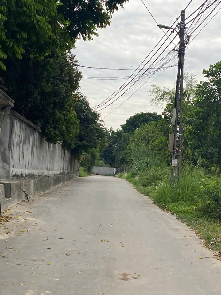 Đất thổ cư 260m² gần Đại Học Công Nghiệp - Mặt tiền 12m, giá chỉ từ 2 tỷ!