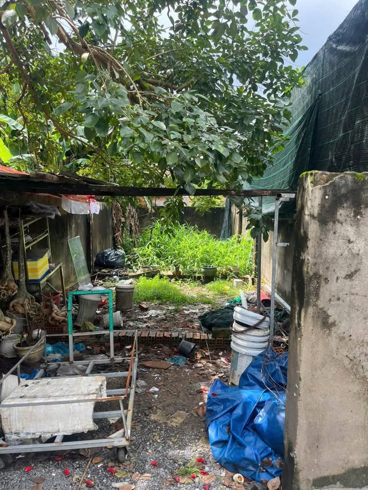 Đất thổ cư Tân Hiệp Hóc Môn 52m² giá 1.9 tỷ - Vị trí đắc địa, xe hơi vào tận nơi!