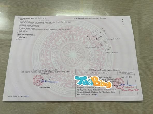 Đất nền Tân Thành Đồ Sơn 85m² giá 2 tỷ - Đường trước nhà 8m, thuận tiện đi lại!