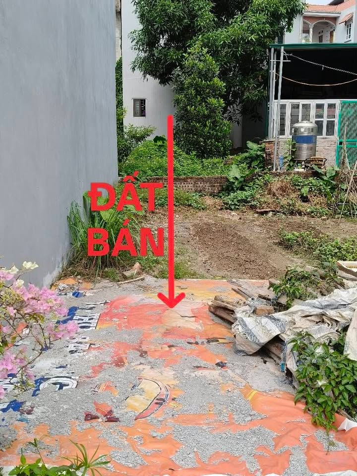 Đất Phúc Lợi Long Biên 38m² giá 5.1 tỷ - Chính chủ bán gấp!