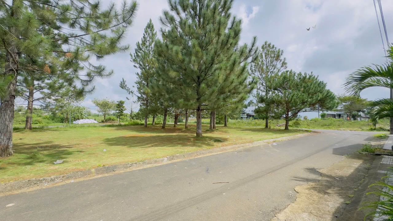 Mini hotel Bảo Lộc 400m² giá 11.7 tỷ - Đầu tư sinh lời ngay!