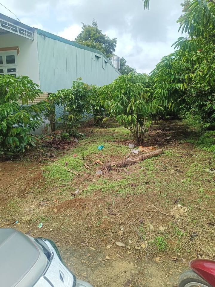 Đất nền hẻm 04 Lê Đại Hành, Lộc Ngãi, Bảo Lâm 180m² giá 870 triệu - Bán gấp!